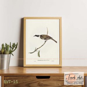 Tranh canvas vintage - Chim ăn mật (Tropidorhynchus argenticeps) - BVT-15