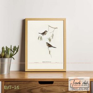 Tranh canvas vintage - Chim di (Amadina modesta) - BVT-16