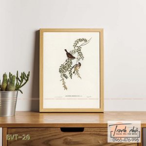 Tranh canvas vintage - Chim sẻ (Acanthiza Diemenensis) - BVT-20
