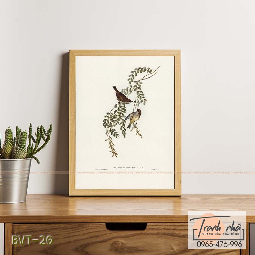 Tranh canvas vintage - Chim sẻ (Acanthiza Diemenensis) - BVT-20