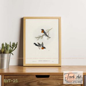 Tranh canvas vintage - Đớp ruồi cằm xanh (Monarcha albiventris) - BVT-25