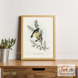 Tranh canvas vintage - Chim ăn mật (Meliphaga) - BVT-30