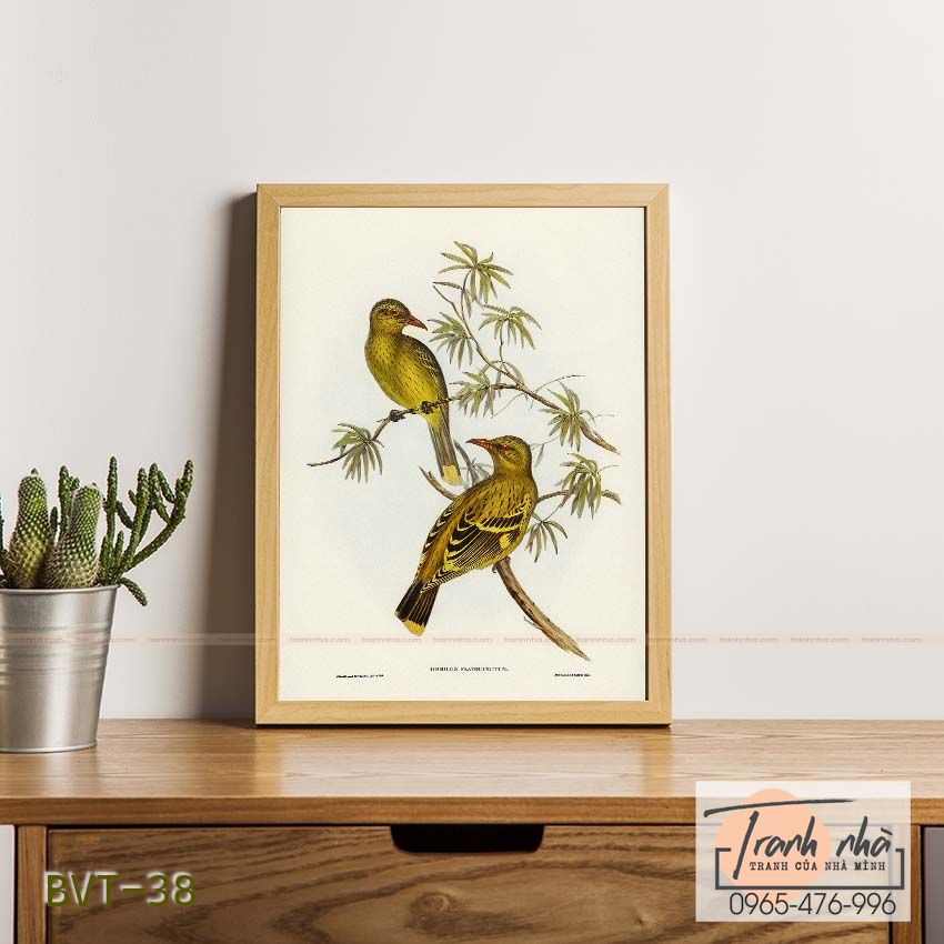 Tranh canvas vintage - Vàng anh (Oriolus flavocinctus) - BVT-38