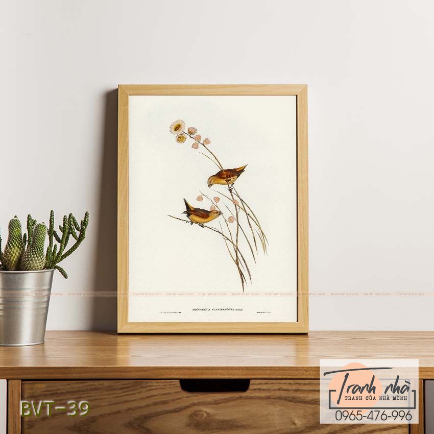 Tranh canvas vintage - Chim di (Donacola flaviprymna, Gould) - BVT-39