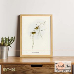 Tranh canvas vintage  - Chim sẻ (Acanthiza lineata) - BVT-50