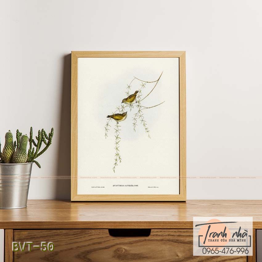 Tranh canvas vintage - Chim sẻ (Acanthiza lineata) - BVT-50