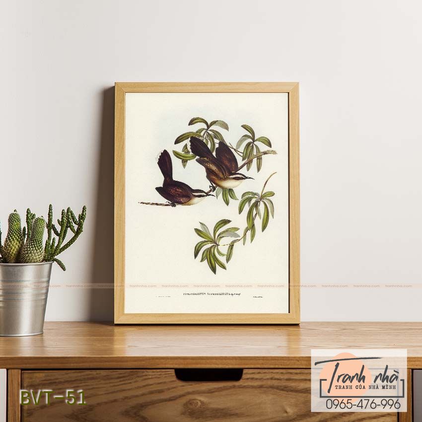 Tranh canvas vintage - Họa mi đất mày trắng (Pomatorhinus superciliosus) - BVT-51