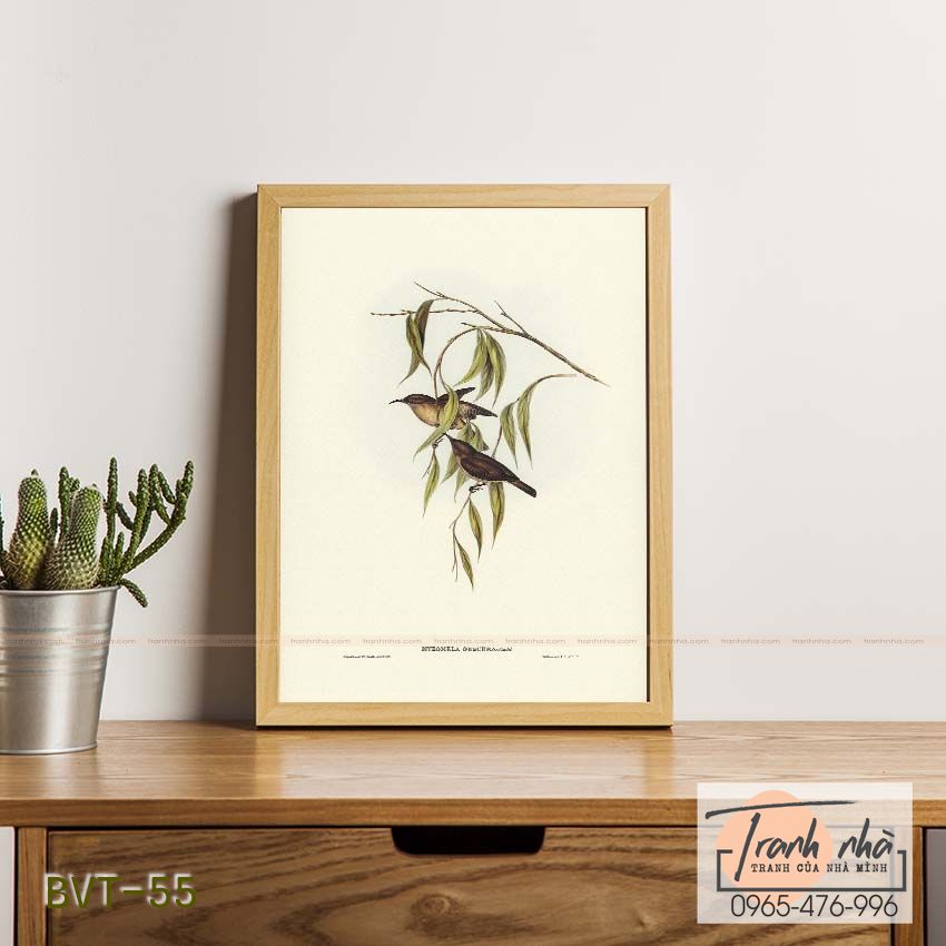 Tranh canvas vintage - Chim ăn mật (Myzomela obscura) - BVT-55