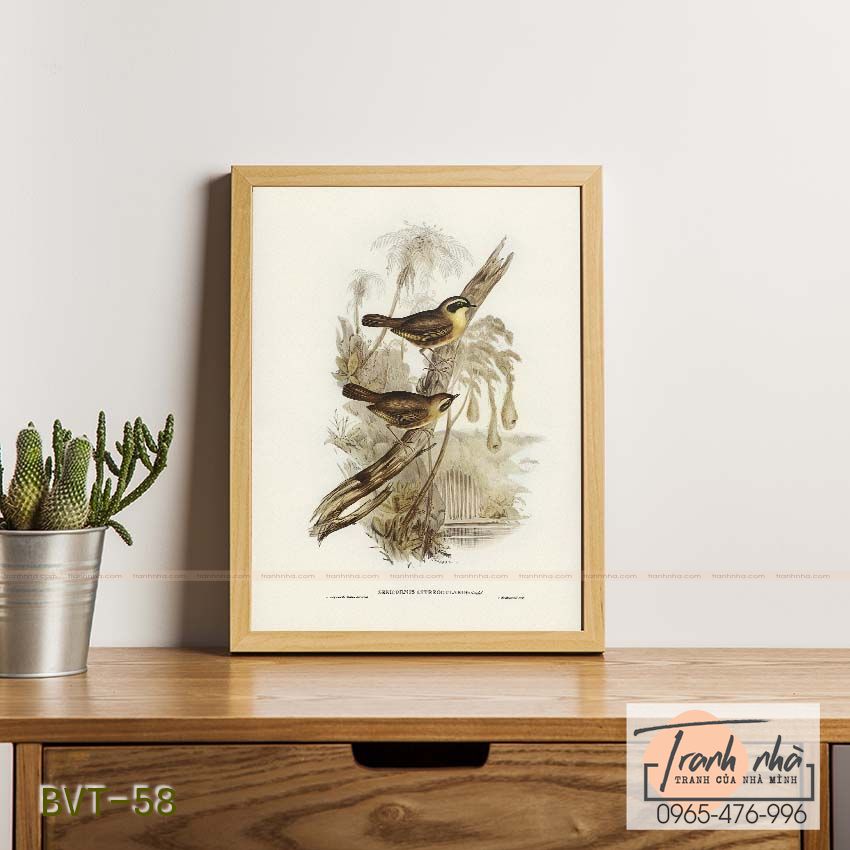 Tranh canvas vintage - Chim sẻ (Sericornis citreogularis) - BVT-58