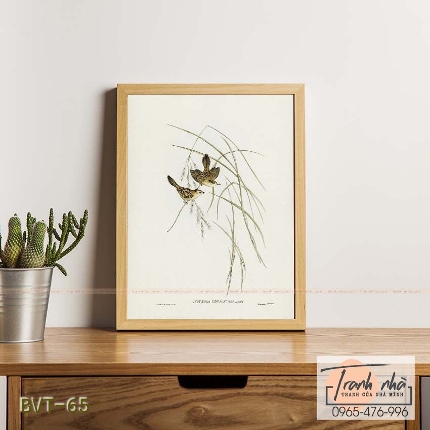 Tranh canvas vintage - Chim sẻ (Cysticola lineocapilla) - BVT-65