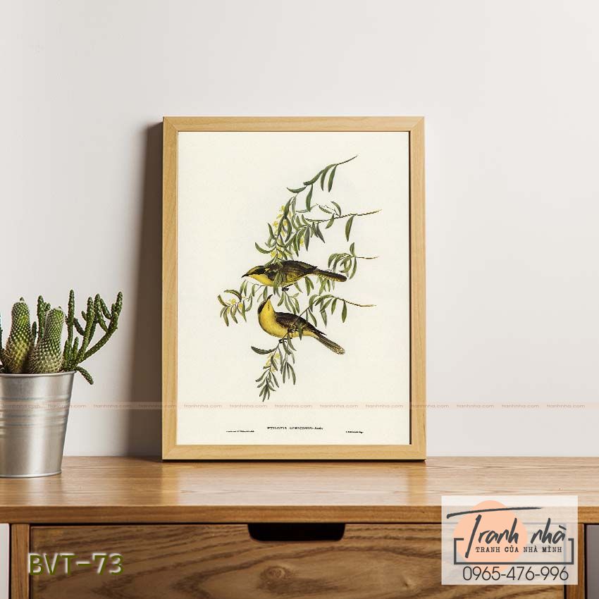 Tranh canvas vintage - Chim ăn mật (Ptilotis auricomis) - BVT-73