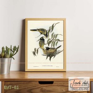 Tranh canvas vintage - Chim ăn mật (Zanthomyza Phrygia) - BVT-81
