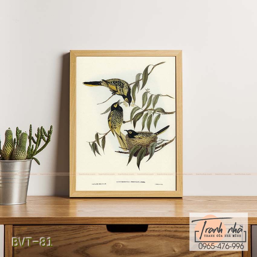 Tranh canvas vintage - Chim ăn mật (Zanthomyza Phrygia) - BVT-81